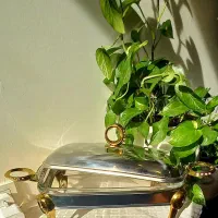 سوفله خوری. آکبند و. نو