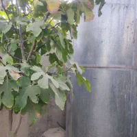 باغ کبودگنبد|فروش خانه و ویلا|پاکدشت, کبودگنبد|دیوار