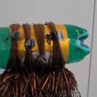 دام پاگیر کپک|ماهیگیری|اصفهان, فیض|دیوار