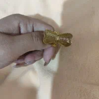 طلا. سالم|جواهرات|زاهدان, |دیوار