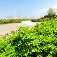 *سوییت *در باغ ویلای زیبای ۳۲۰۰ *متری|اجارهٔ کوتاهمدت آپارتمان و سوئیت|رشت, گلباغ نماز|دیوار