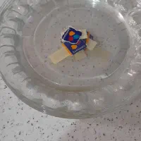 بشقاب انگشتی