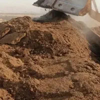 کود گاوی|خدمات باغبانی و درختکاری|چناران, |دیوار