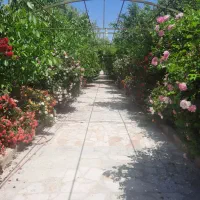 باغ و ویلا ۷۰۰۰متر