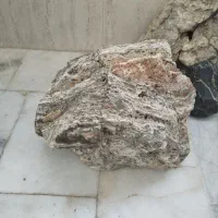 سنگ و لوازم غذای ماهی