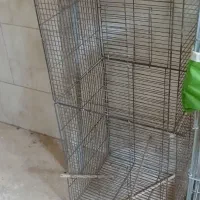 قفس چهار خان ودوتا قفس عروس تکی|لوازم جانبی حیوانات|میبد, |دیوار