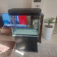 فروش اکواریوم با و سایل