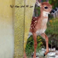 دعای امام جواد و۸۰ اثر|کتاب و مجله مذهبی|بم, |دیوار