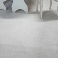 پالاز موکت