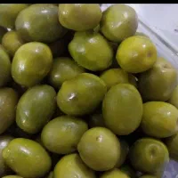 فروش زیتون شور