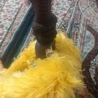 قلیان طرح مار