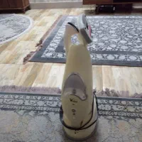 یک عدد جارو شازز جهت فروش