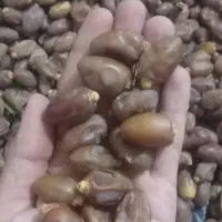 خرما بلیانی