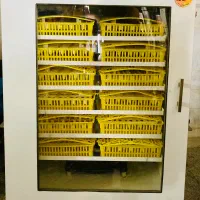 دستگاه جوجه کشی شرکت فاخته M-1008