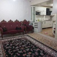 راهنمایی دانشجو عراقی همکاری در مطب و داروخانه