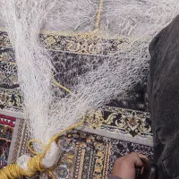 تور ماهیگری