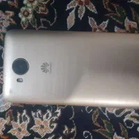 معامله بایک جوجه عروس هلندی یاجوجه خروس نسل دار|موبایل|ایرانشهر, |دیوار