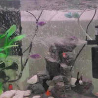 آکواریوم شرکتی در حد نو