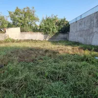 پژو روآ سال