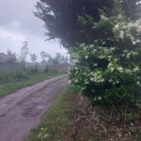 ۴۰۰متری