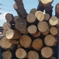 خریدار ضایعات چوب امدیعف