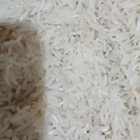 برنج فجر سوزنی|خوردنی و آشامیدنی|علیآباد کتول, |دیوار