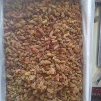 کشمش|خوردنی و آشامیدنی|تهران, ولنجک|دیوار