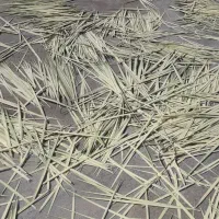 پیشک