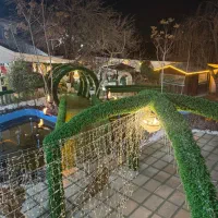 مدیر داخلی