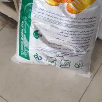 فروش مایه خمیر