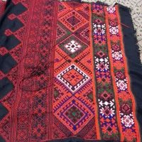 زی استین طاووسی