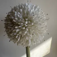 کار در منزل