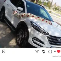 گل وگیاه لاکچری، کیفیت بالا، قیمت مناسب|گل و گیاه طبیعی|لنجان, |دیوار