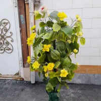 گل زیبا|گل مصنوعی|ساوه, |دیوار