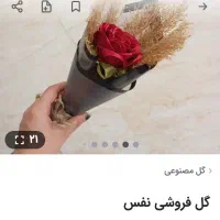 رز روبانی