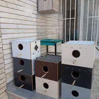 تعدادی قفس، آشیانه، لانه، پایه قفس فروشی دارم