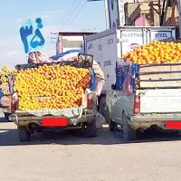 فروشنده میوه با وانت.