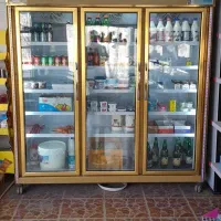 فروش یخچال ویترینی