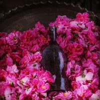 جذب بازاریاب خانم جهت ویزیتوری تلفنی محصولات سنتی