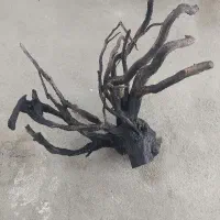 چوب آبنوس اکواریوم