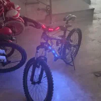دوچرخه 24 نیم لکسوس