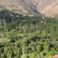زمین کشاورزی واقع در آبشار نوژیان