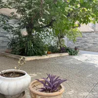 * ۹۰ متر خواجه نصیر خ آمل *|اجارهٔ آپارتمان|تهران, خواجه نصیر طوسی|دیوار