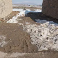 زمینی-فروشی-در-فلسطین-30