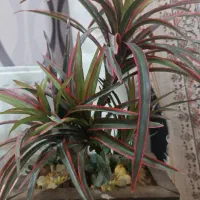 گلدان وگل مصنوعی|گل مصنوعی|اراک, |دیوار