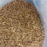 سلام، میلورم زنده ومیلورم خشک|لوازم جانبی حیوانات|میانه, |دیوار