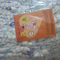پوشک بچگانه|اسباب و اثاث بچه|ارومیه, |دیوار
