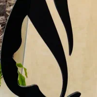 منشی کلینیک زیبایی