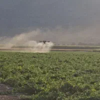 پهپاد پارسه|خدمات باغبانی و درختکاری|درودزن, |دیوار