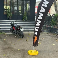نیروی کار کارواش جهت تمیز کاری